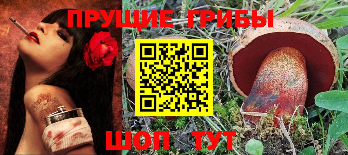 Камень-на-Оби  Псилоцибиновые грибы Psilocybe  Вход с VPN  Псилоцибиновые грибы Cubensis 
